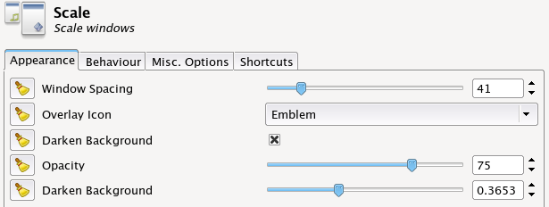 Scale settings