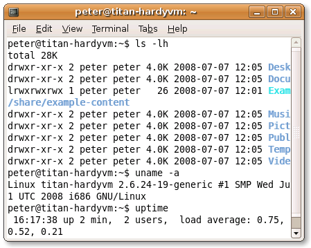 Command Line screenshot