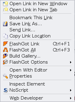 FlashGot context menu (Link)