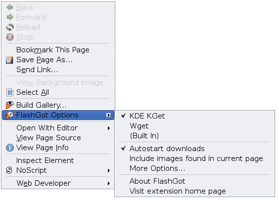FlashGot contextual menu